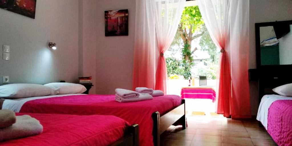 Kuris Studios & Apartments Vasilikí Eksteriør bilde