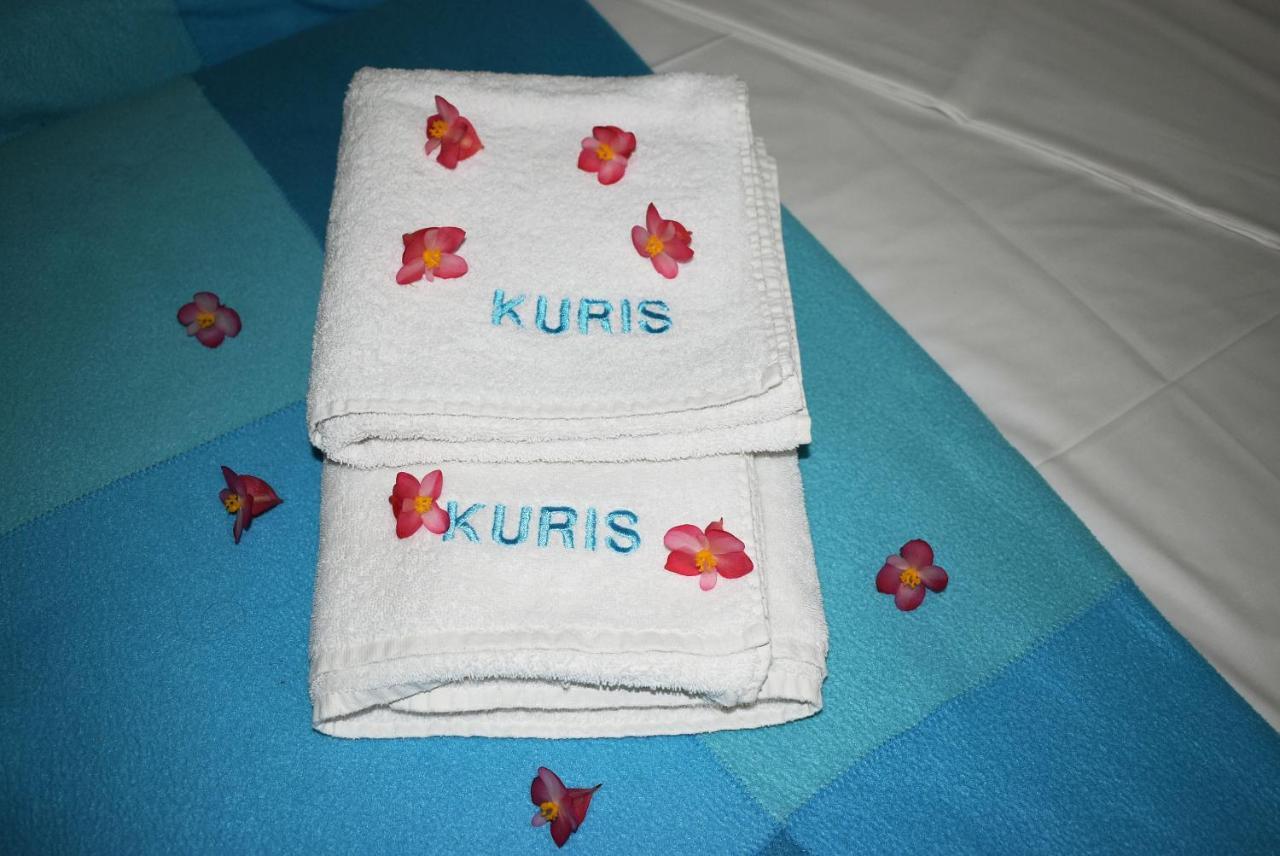Kuris Studios & Apartments Vasilikí Eksteriør bilde